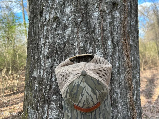 $539,900 | Stout Farm Drive, Canton, MS 39046