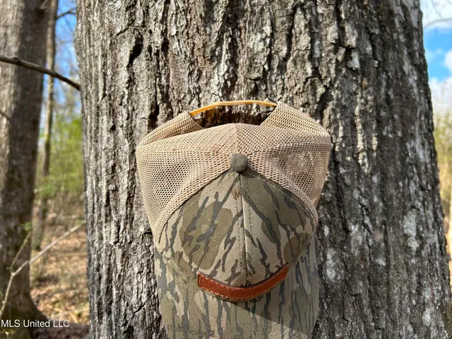 $539,900 | Stout Farm Drive, Canton, MS 39046