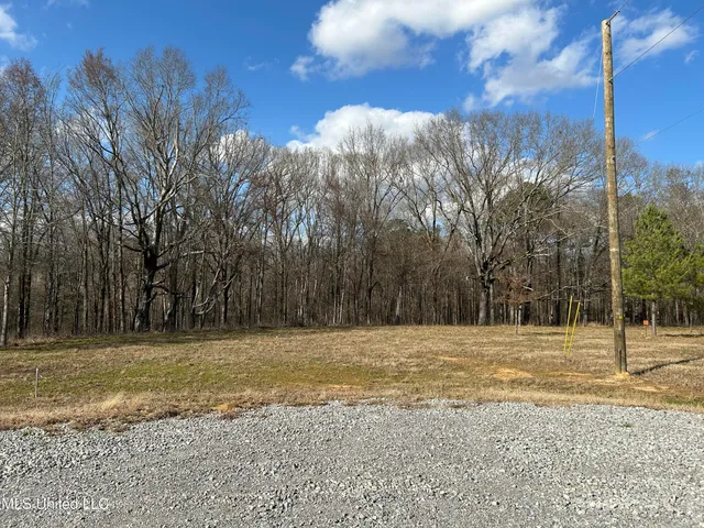 $539,900 | Stout Farm Drive, Canton, MS 39046