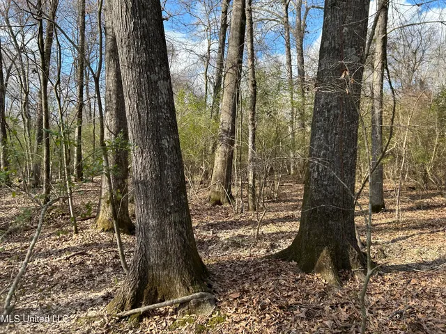 $539,900 | Stout Farm Drive, Canton, MS 39046