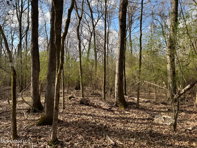 $539,900 | Stout Farm Drive, Canton, MS 39046