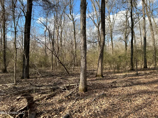 $539,900 | Stout Farm Drive, Canton, MS 39046