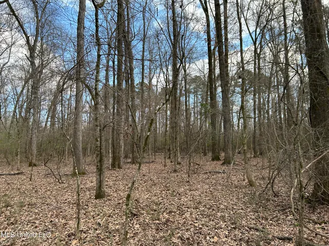 $539,900 | Stout Farm Drive, Canton, MS 39046