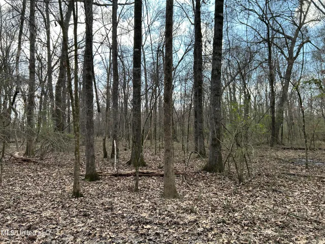 $539,900 | Stout Farm Drive, Canton, MS 39046