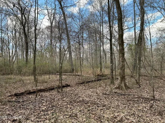 $539,900 | Stout Farm Drive, Canton, MS 39046