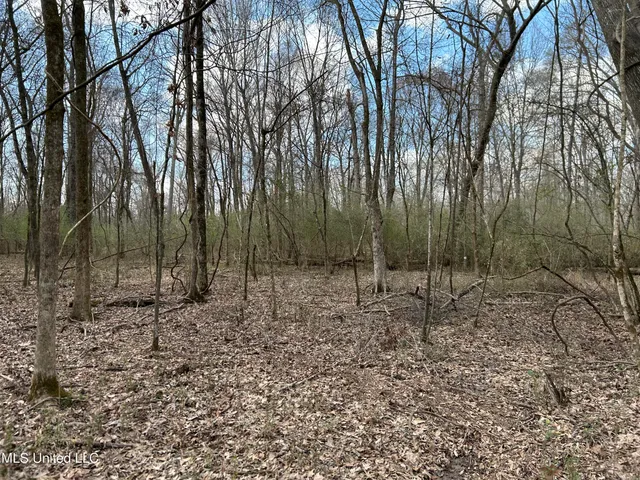 $539,900 | Stout Farm Drive, Canton, MS 39046