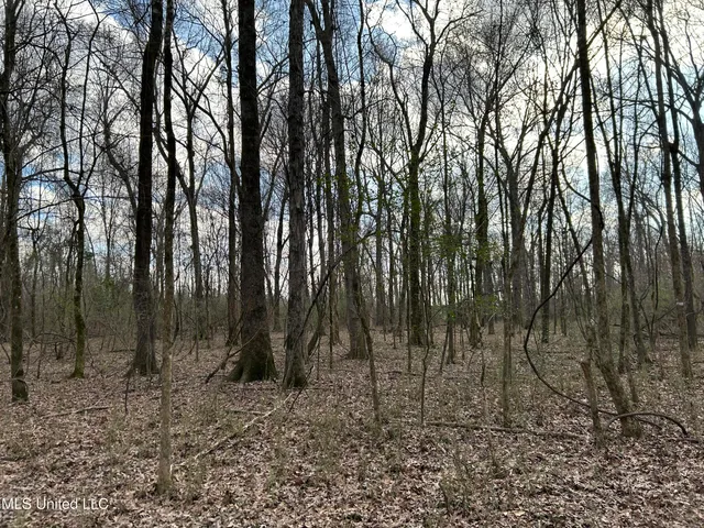 $539,900 | Stout Farm Drive, Canton, MS 39046