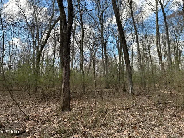 $539,900 | Stout Farm Drive, Canton, MS 39046