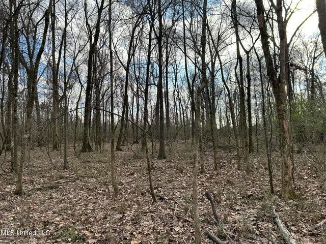 $539,900 | Stout Farm Drive, Canton, MS 39046