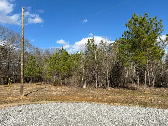 $539,900 | Stout Farm Drive, Canton, MS 39046