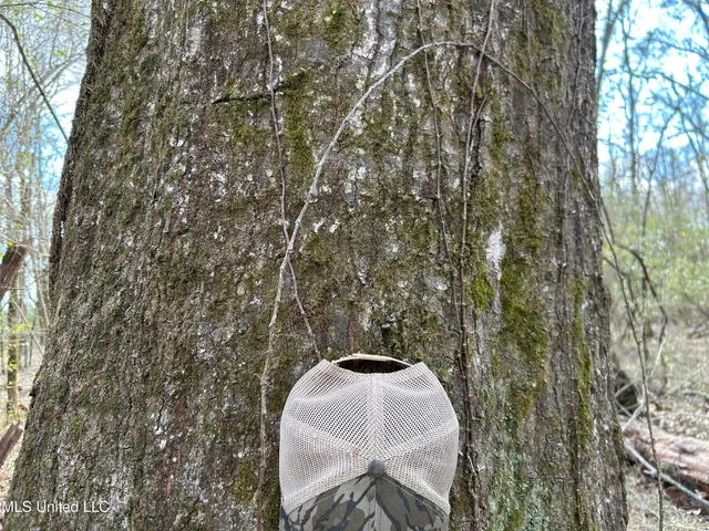 $539,900 | Stout Farm Drive, Canton, MS 39046