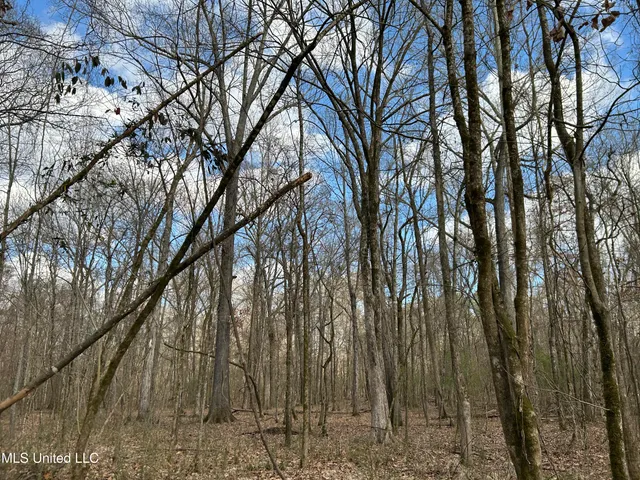 $539,900 | Stout Farm Drive, Canton, MS 39046