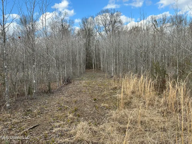 $539,900 | Stout Farm Drive, Canton, MS 39046