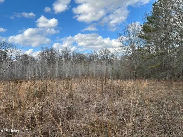 $539,900 | Stout Farm Drive, Canton, MS 39046