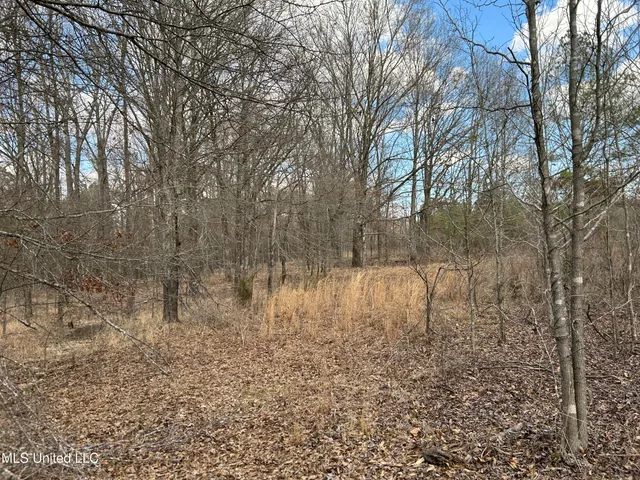 $539,900 | Stout Farm Drive, Canton, MS 39046