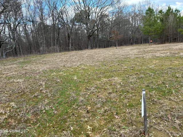 $539,900 | Stout Farm Drive, Canton, MS 39046