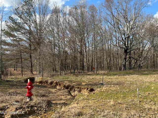 $539,900 | Stout Farm Drive, Canton, MS 39046