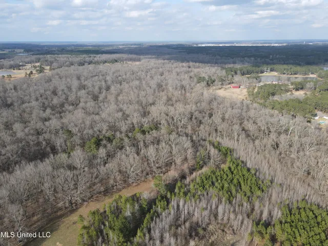 $539,900 | Stout Farm Drive, Canton, MS 39046