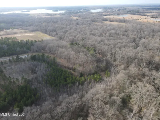 $539,900 | Stout Farm Drive, Canton, MS 39046