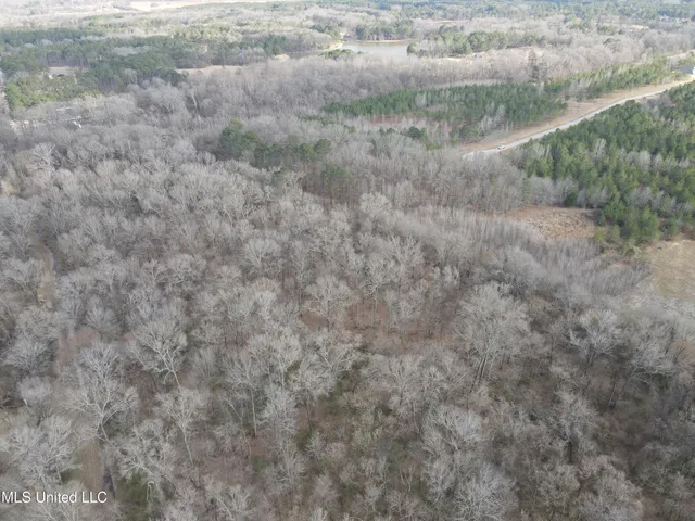 $539,900 | Stout Farm Drive, Canton, MS 39046