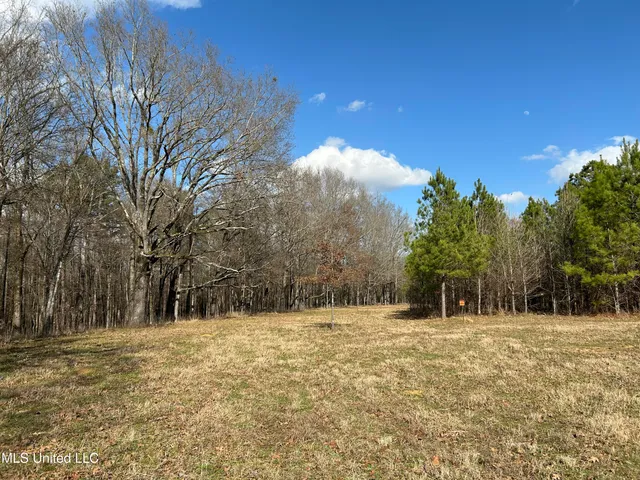 $539,900 | Stout Farm Drive, Canton, MS 39046