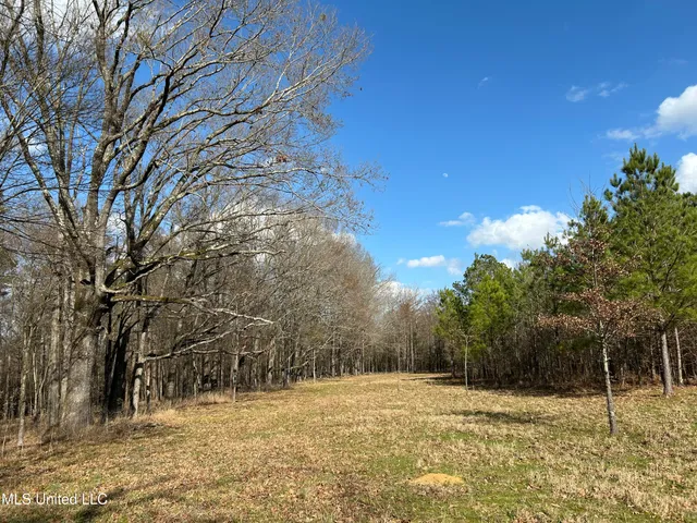 $539,900 | Stout Farm Drive, Canton, MS 39046