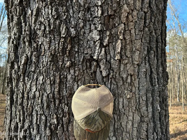 $539,900 | Stout Farm Drive, Canton, MS 39046