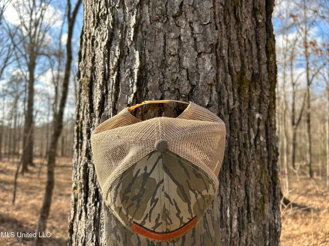 $539,900 | Stout Farm Drive, Canton, MS 39046