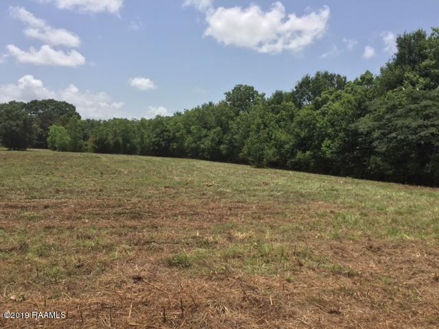 629 Jenkins Road Duson, LA 70529 - Photo 3 of 13 Gallery Image 3