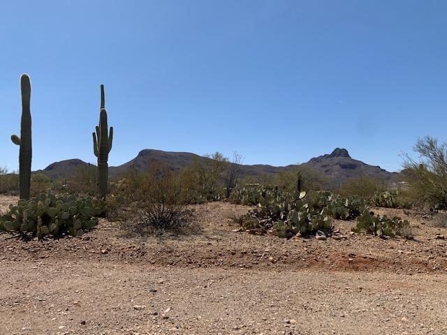 7089 West Ina Road, Unit 2 Tucson, AZ 85743 - Photo 7 of 12