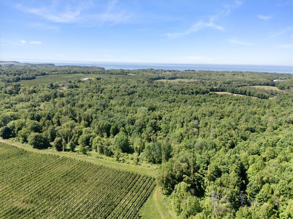 Geneva Road Sodus, NY 14551 - Photo 30 of 34