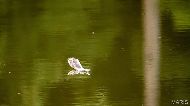 $745,000 | 19 Highway Y Jonesburg Mo 63351, Jonesburg, MO 63351