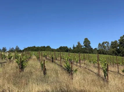 a view of lake and mountain