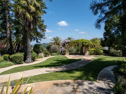 a view of a garden with a tree