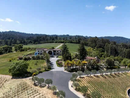 a view of a lake in middle of forest