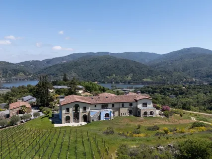 an aerial view of residential houses with outdoor space and trees