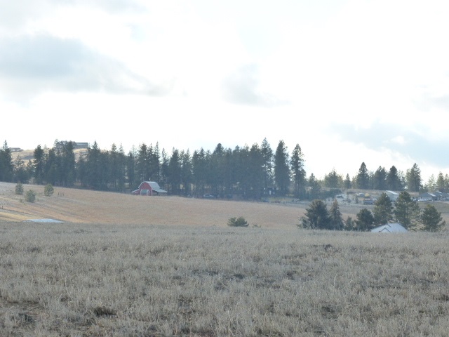 6701 North Jensen Road Spokane, WA 99217 - Photo 3 of 10