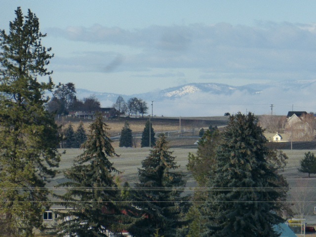 6701 North Jensen Road Spokane, WA 99217 - Photo 4 of 10