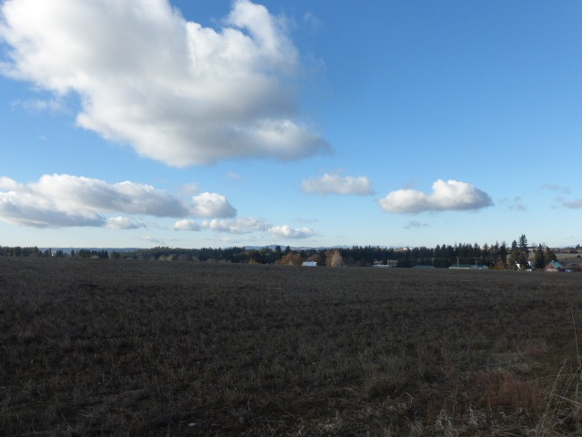 6701 North Jensen Road Spokane, WA 99217 - Photo 9 of 10