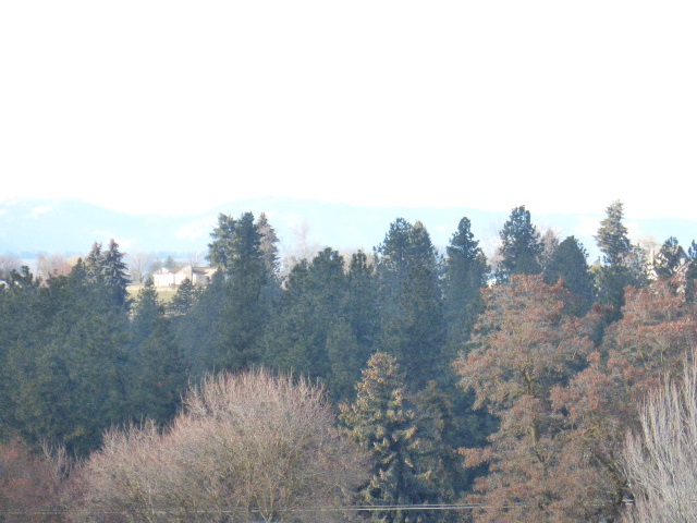 6701 North Jensen Road Spokane, WA 99217 - Photo 10 of 10
