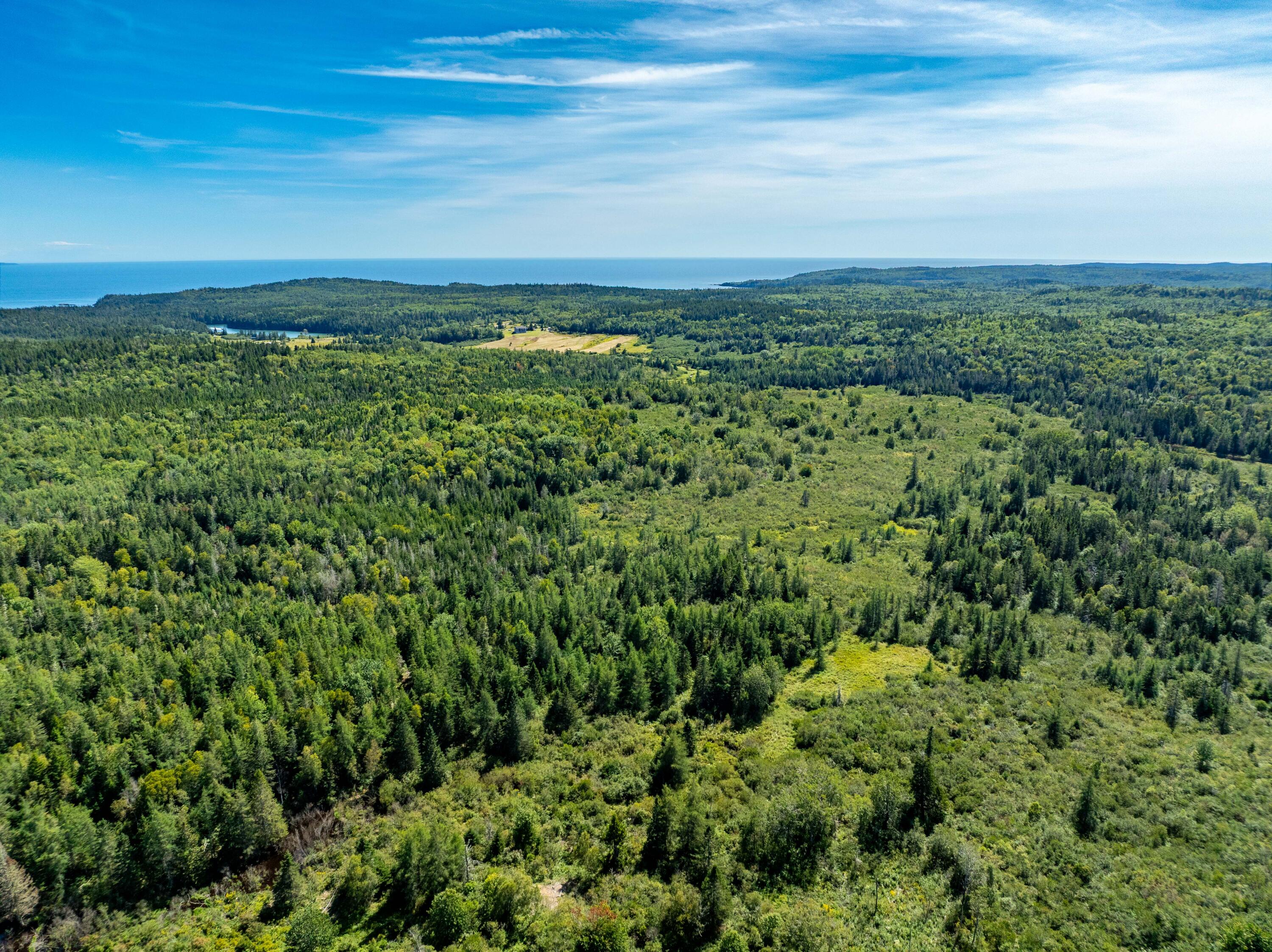 2 Map Lubec, ME 04652 - Photo 14 of 79 530+- acres Trescott Twp Maine (8 of 80)
