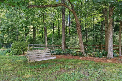 a view of a park with large trees