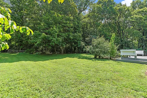 a view of a swimming pool with a bench and trees