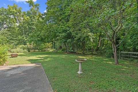 a view of a park with a tree
