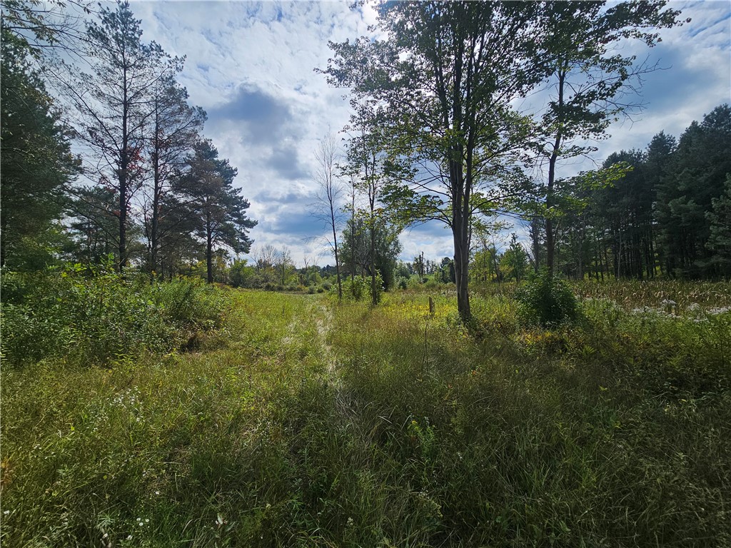 121 Buffalo Road Arcadia, NY 14513 - Photo 10 of 25 Gallery Image 10
