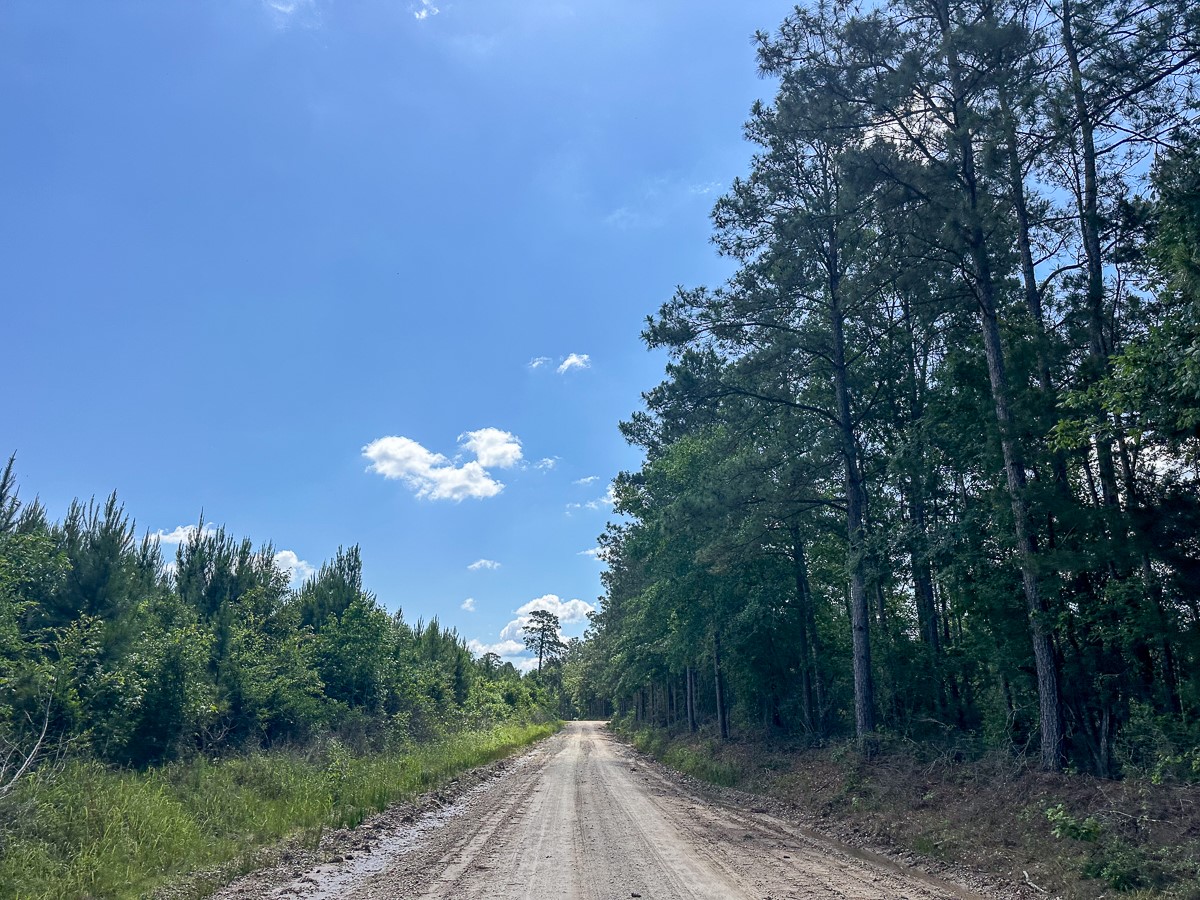 36 Westville Road Groveton, TX 75845 - Photo 8 of 9