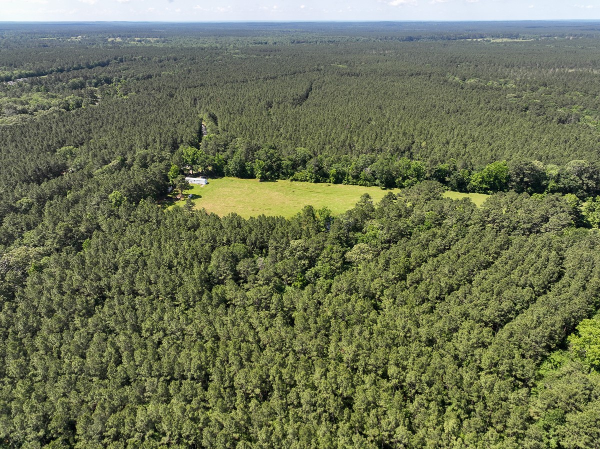 36 Westville Road Groveton, TX 75845 - Photo 9 of 9