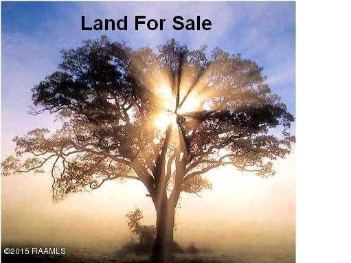 Pickens Road Palmetto, LA 71358 - Photo 1 of 1 Land pict