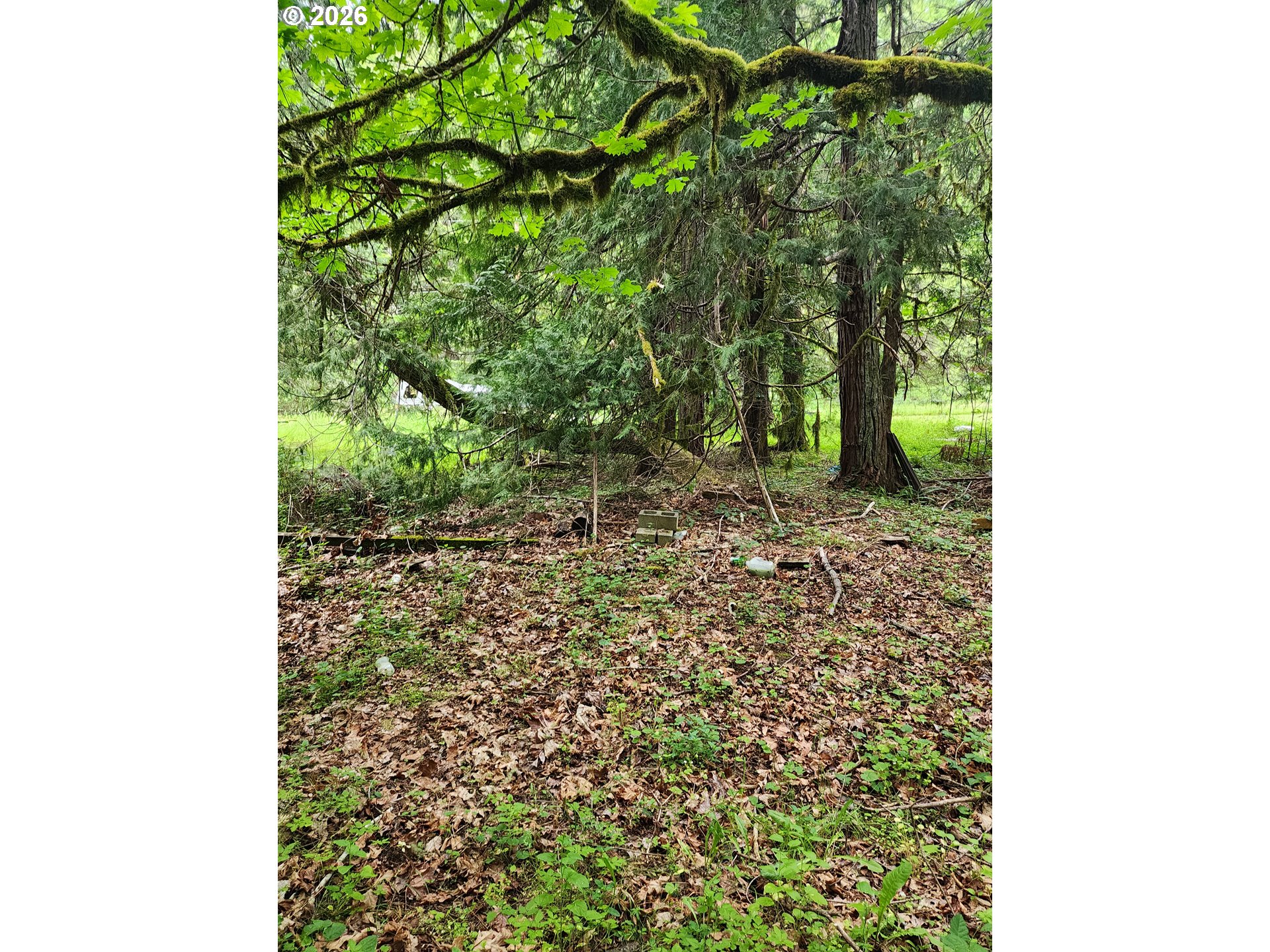 0 Louis Creek Road Myrtle Creek, OR 97457 - Photo 6 of 20