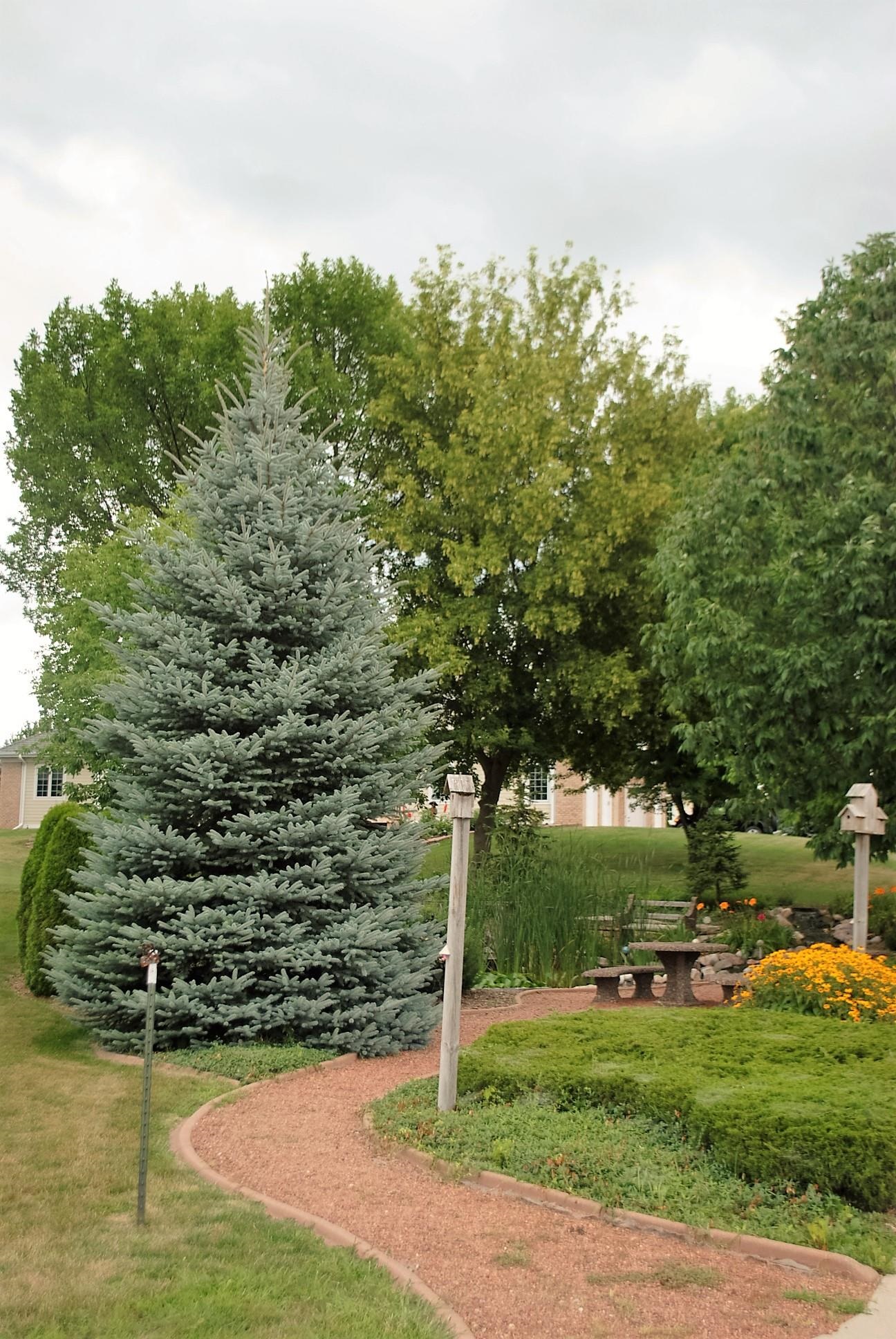 754 Kensington Ripon, WI 54971 - Photo 7 of 18